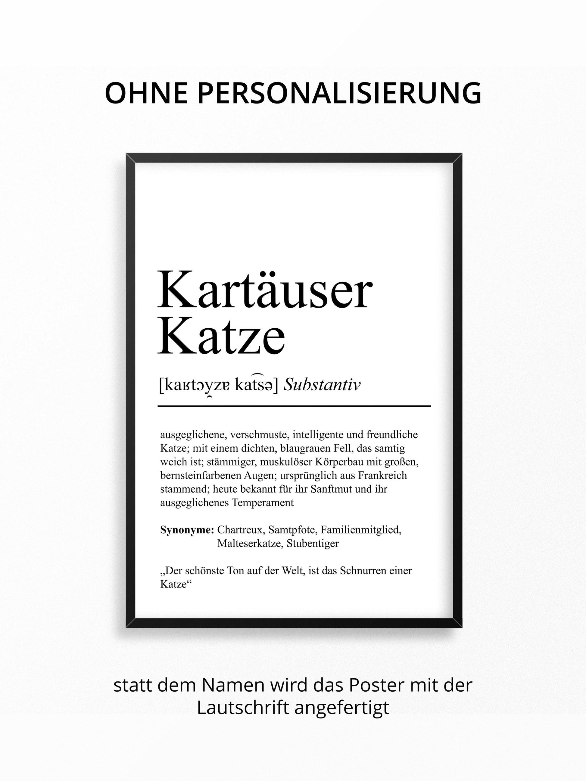 Kartäuser Katze Definition Poster personalisierbar mit Name Katze Rasse Poster Geschenk Katzenbesitzer Einzug Geburtstag Geschenk