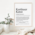Kartäuser Katze Definition Poster personalisierbar mit Name Katze Rasse Poster Geschenk Katzenbesitzer Einzug Geburtstag Geschenk