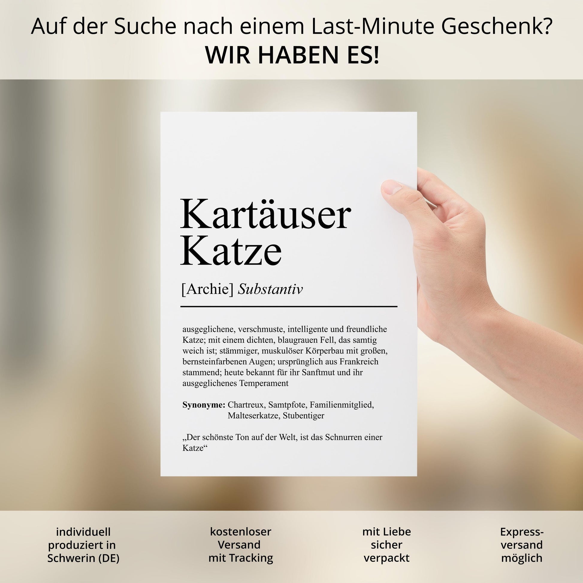 Kartäuser Katze Definition Poster personalisierbar mit Name Katze Rasse Poster Geschenk Katzenbesitzer Einzug Geburtstag Geschenk