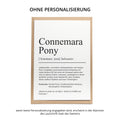 Connemara Pony Definition Karte personalisierbar mit Name Pferd Rasse Grußkarte Geschenk Reiter Karte Geburtstag Geschenk Pferdeliebhaber