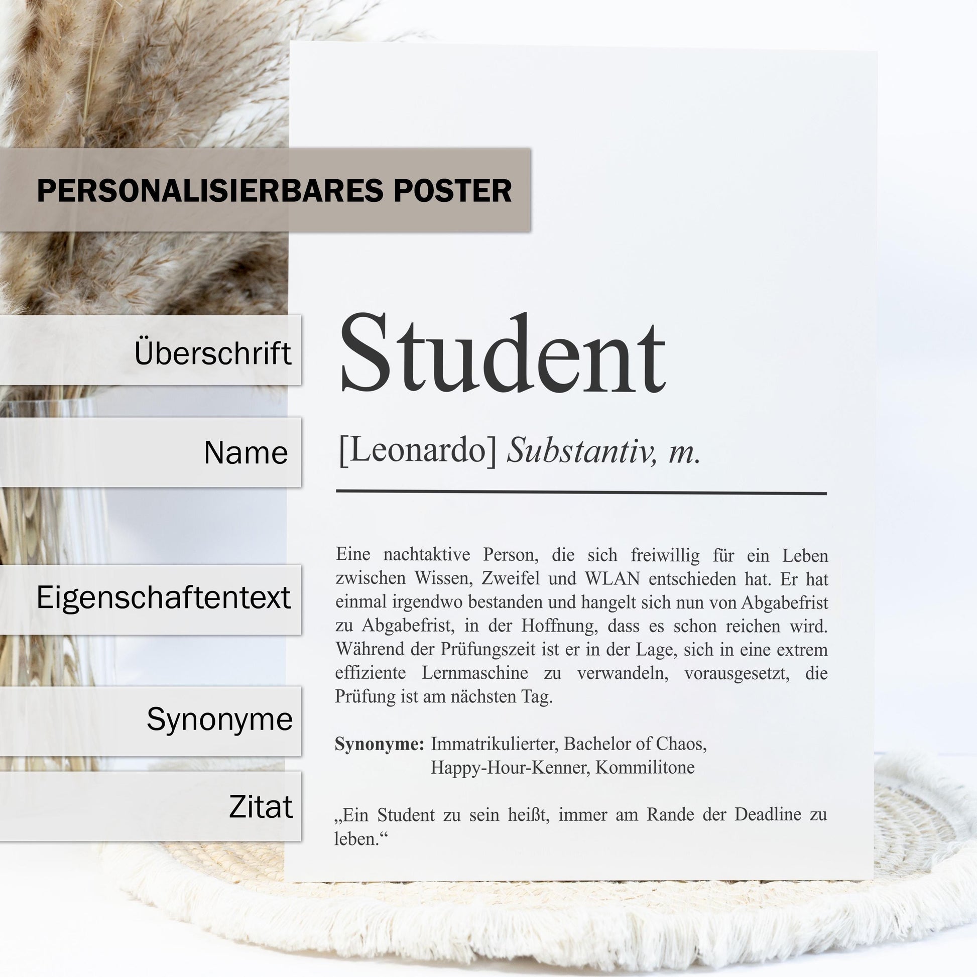Student Definition Poster personalisierbar mit Namen Studenten Poster Student Geschenk zum Studium Geschenk Einzug Poster Definition
