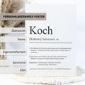 Koch Definition Poster personalisierbar mit Namen Beruf Poster Koch Geschenk Einzug Geburtstag Geschenk Koch Poster Beruf Definition