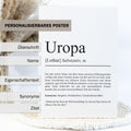 Uropa Definition Poster personalisierbar mit Namen Opa Poster Geschenk Einzug Geburtstag Geschenk Opa Poster Familienmitglied Minimalistisch