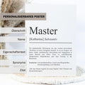 Master Definition Poster personalisierbar mit Namen Abschluss Poster Master Geschenk zum Abschluss Geschenk Master Poster Definition