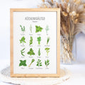 Kräuter Poster Küche Guide Poster Kräuter Guide Küche Geburtstag Geschenk für Kochliebhaber Poster Kräuter Ratgeber Illustration Kräuter