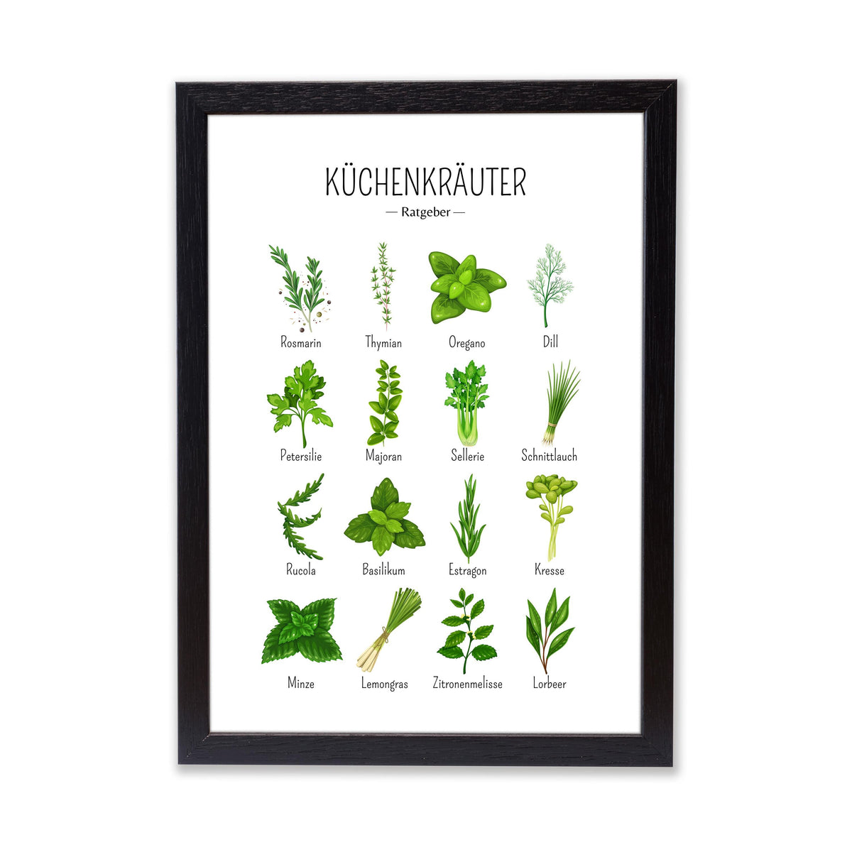 Kräuter Poster Küche Guide Poster Kräuter Guide Küche Geburtstag Geschenk für Kochliebhaber Poster Kräuter Ratgeber Illustration Kräuter
